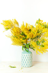 Spring bouquet of yellow mimosa flowers in turquoise vase against the light wall copy space. Gentle composition, concept of spring season, symbol of 8 March, happy women's day. Flower background