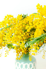 Spring bouquet of yellow mimosa flowers in turquoise vase against the light wall copy space. Gentle composition, concept of spring season, symbol of 8 March, happy women's day. Flower background