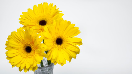 Bouquet of yellow daisy flowers
