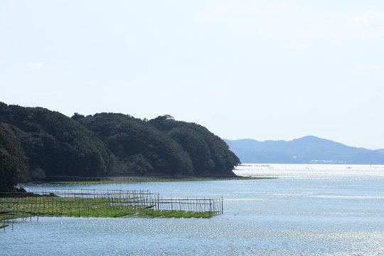 海苔粗朶images Browse 39 Stock Photos Vectors And Video Adobe Stock 海苔粗朶images Browse 39 Stock Photos Vectors And Video Adobe Stock