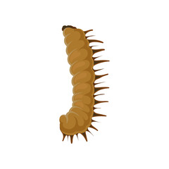 Larva of butterfly. Brown caterpillar. Insect with lots of legs. Flat vector for biological book or infographic poster