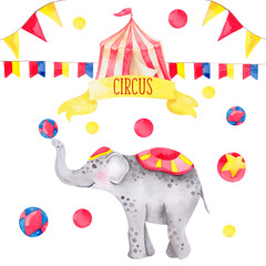 Obraz premium Watercolor illustration cute circus elephant