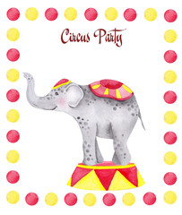 Watercolor illustration cute circus elephant