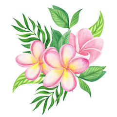 Watercolor illustration pretty tropical flowers and leaves