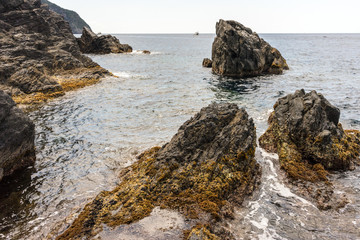 Italy, Cinque Terre, Manarola, a rocky island in the middle of a body of water