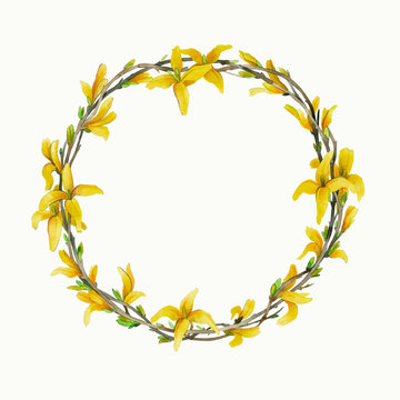 Spring Wreath Of Forsythia Branches.