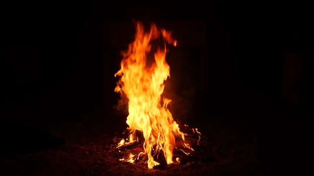 Burning fire. Bonfire. Close Up of flames burning on black background, slow motion