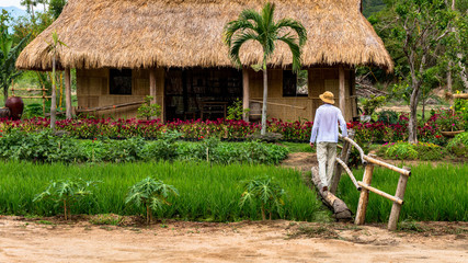 A man near a traditional Vietnamese hut. Asian country house made of cane and bamboo branches. The traveler goes on a log bridge