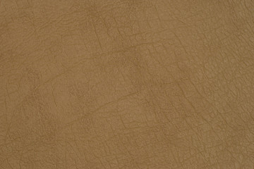 Light brown leather background.