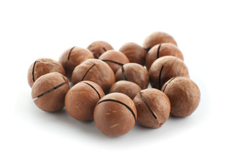 Macadamia nuts on white background