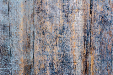 Old wooden wall panel. Wood texture. Wood background.