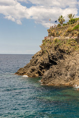 Naklejka premium The cliff on the coast of Ligurian Sea, Manarola, Italy