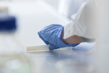 preparing a germination roll in a laboratory
