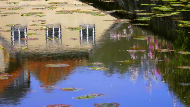 Beautiful pond with flowers  reflects an old house