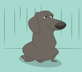 dog vector in the room