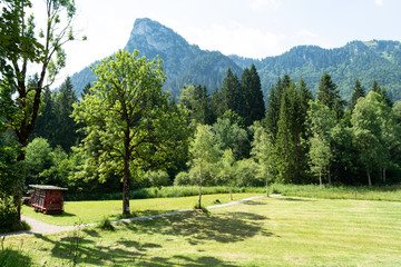 View of the mown meadows on the background of the mountains on which there is a combine.