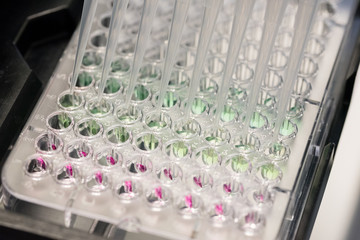 pipetting some different substances with different colors close up