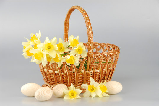 Narcissus basket, easter eggs in basket, spring yellow narcissus flower on green stem in burlap isolated on white background, womens or mothers day