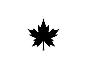 Maple leaf logo template vector icon illustration design 