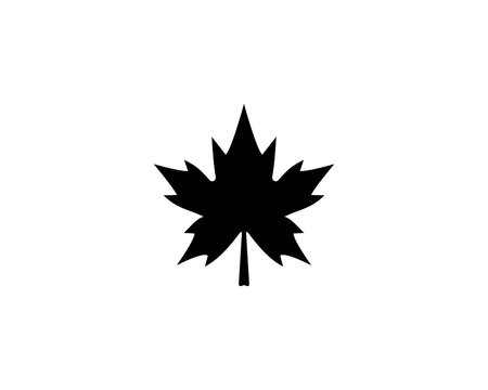 Maple leaf logo template vector icon illustration design 