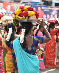 Indienne en sari en Inde du Sud