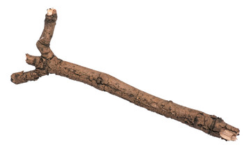 Fototapeta premium Single dry tree branch, isolated on white background. Stick tree branch from nature for design.