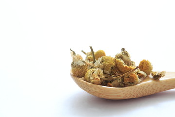 Image shot of German chamomile (herb)