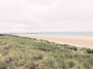 landscape with green field and blue sky