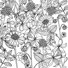 Doodle floral background in vector with doodles black and white coloring page