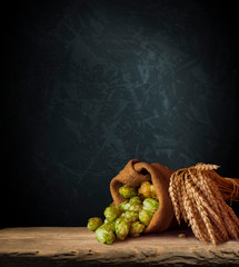 Beer, brewery background. Fresh green hop and wheat with wooden barrel on vintage table. Ingredients for brewing. Retro style. Beer brewing traditions. Copy space for your text