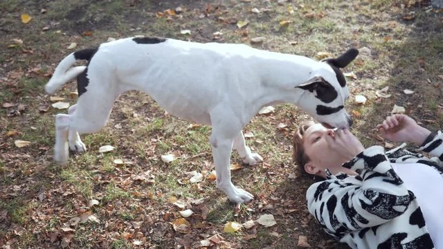 Woman lying on the ground and play with her stafford dog.