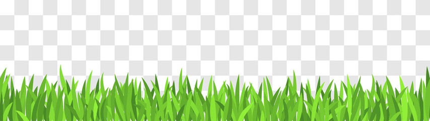 Spring grass border Vector illustration. Green grass pattern isolated on fake transparent background.