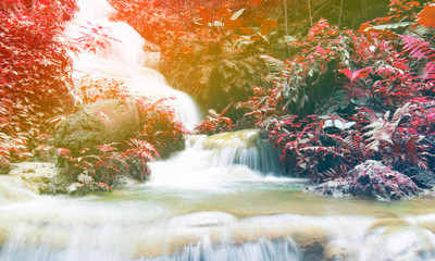 Amazing nature beautiful waterfall multicolor pastel in autumn forest, deep forest waterfall, Thailand - Image