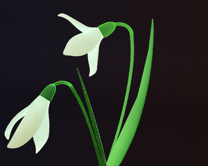 Obraz premium Spring flowers