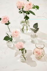 Beautiful rose flowers in vase on pink background. Greeting card for Womens day or Mothers day.