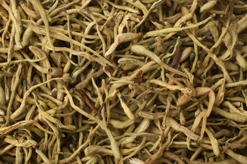 Dried honeysuckle flower tea (Jin Yin Hua), for backgrounds or textures