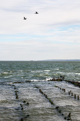 Remains of the old jetty in the sea.