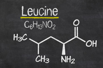 Blackboard with the chemical formula of Leucine