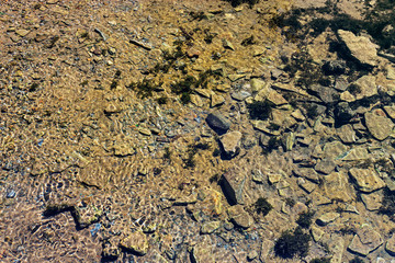 pebbles at the bottom of a clear stream