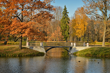 Autumn landscape with a bridge on a pond in a suburban park.