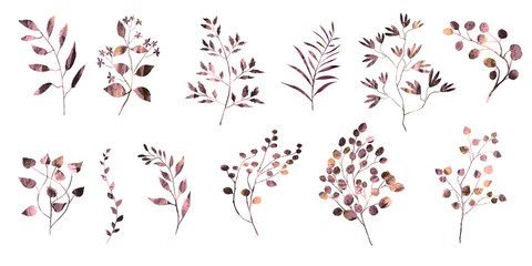 Botanical collection. Herbs, leaves. The original set of elements. Decorative twigs. Watercolor illustration.