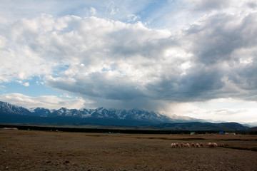 Landscape views of the Kurai valley in the Altai mountains