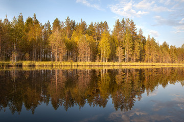 Beautiful volumetric clouds on a sunny day over a quiet forest lake