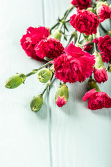 Bouquet of pink carnation on light turquoise wooden background. Greeting card with copy space.