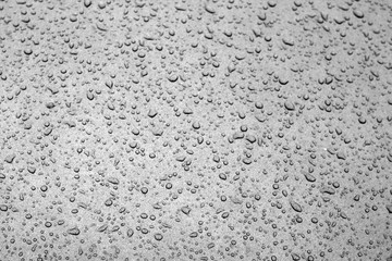 Water drops on car surface in black and white.