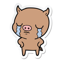 sticker of a cartoon pig crying with hands on hips