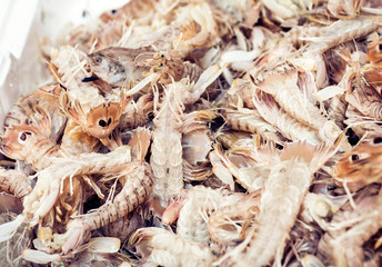 Fresh fish and seafood for sale in the fish market of Catania, Sicily, Italy.