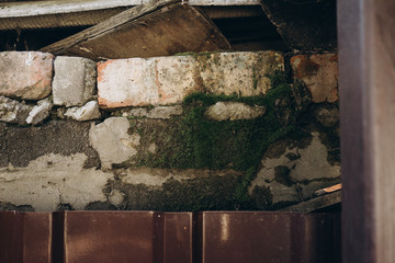 brick wall with moss