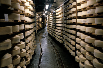 sala di stagionatura formaggio fontina - obrazy, fototapety, plakaty