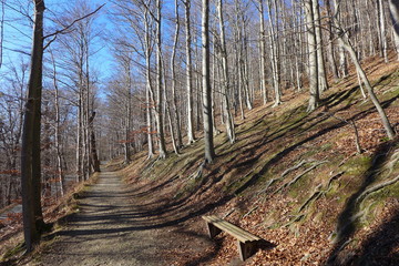 Wanderweg im Harz bei Wernigerode